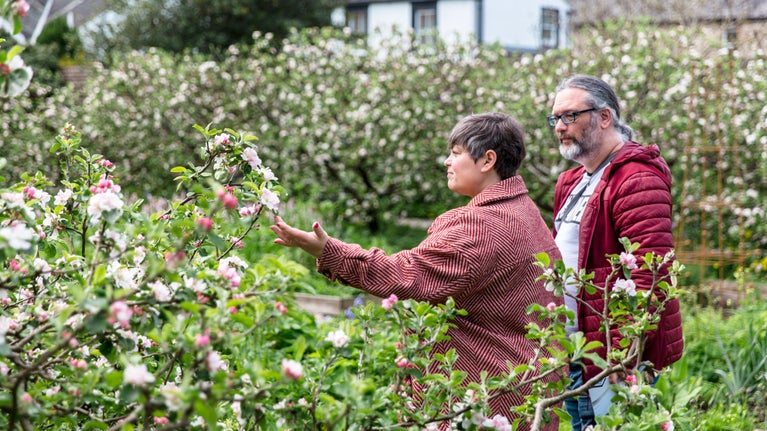 Two visitors admire the pink apple blossom in the garden at Wordsworth House in spring